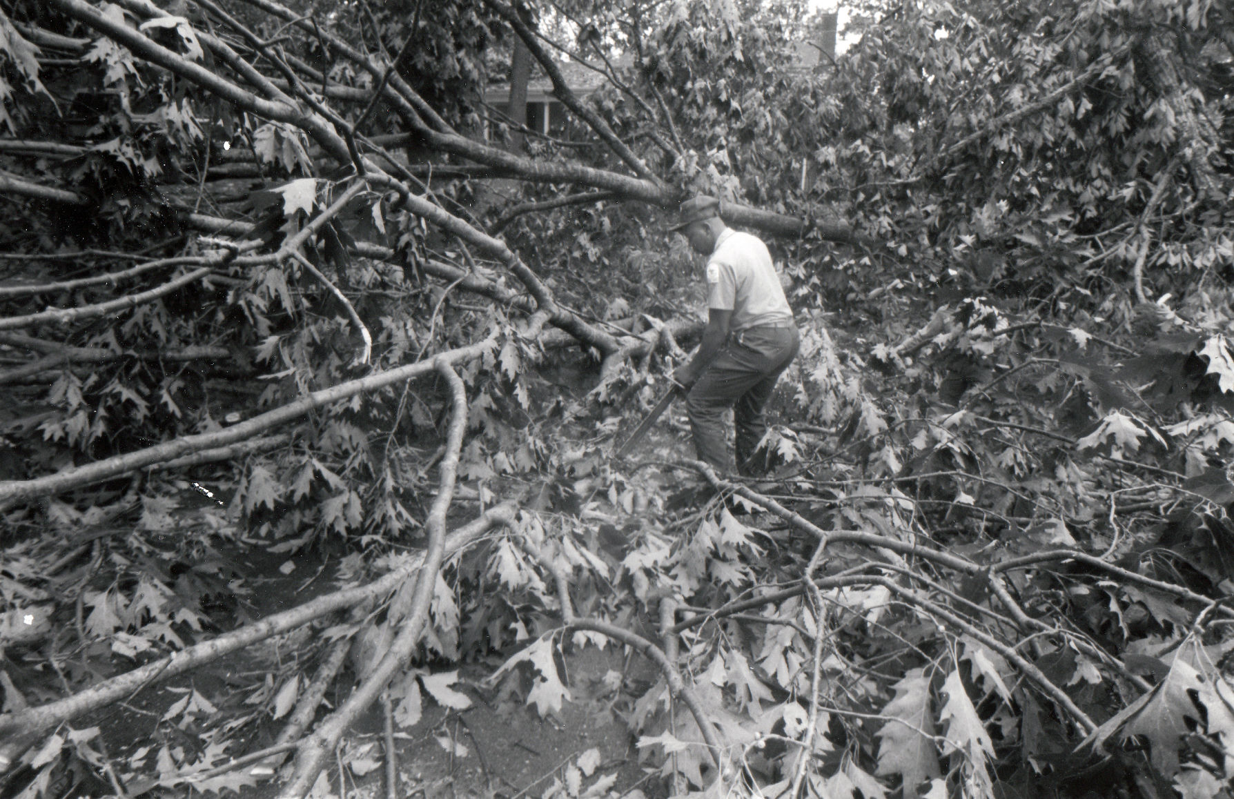 Windstorm of 1993